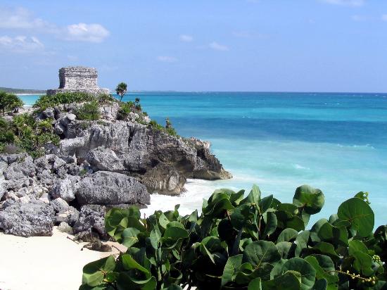 Hotel Stelle Playa Del Carmen Hotel Stelle Playa Del Carmen